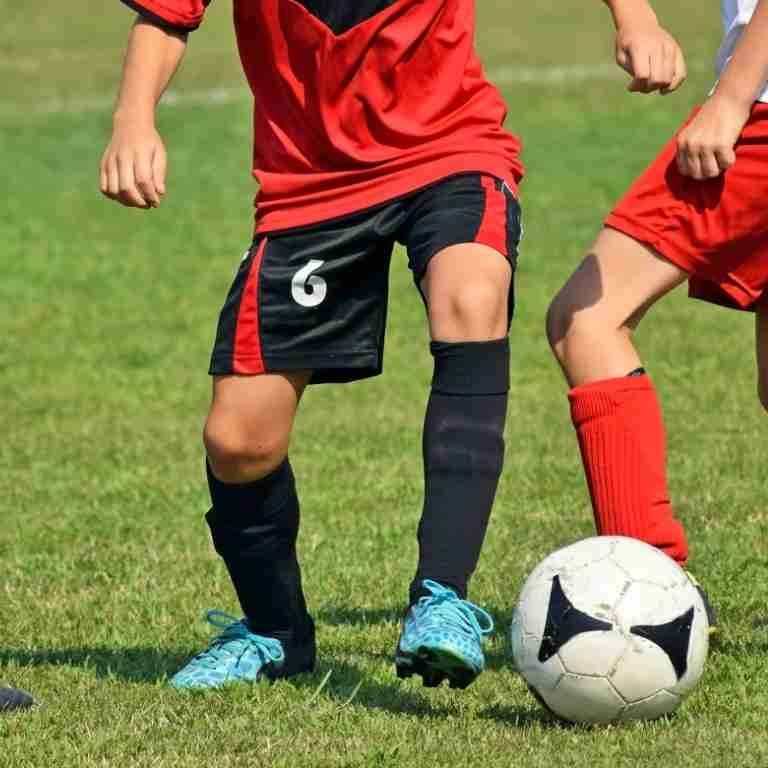 category-catalog-d-1